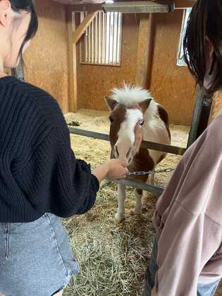 乗馬体験 in サーバントホース